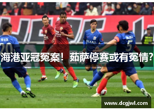 海港亚冠冤案！茹萨停赛或有冤情？
